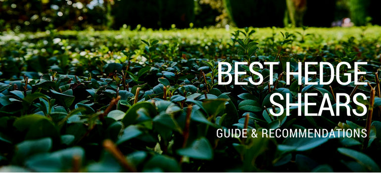 Best Hedge Shears: Guide & Recommendations