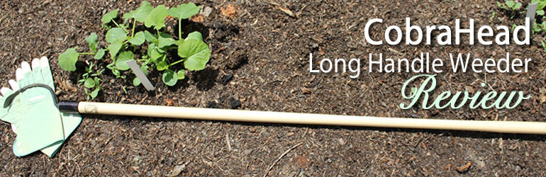 CobraHead® Long Handle Weeder and Cultivator: Product Review