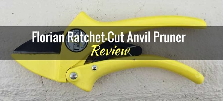 Florian Ratchet-Cut Anvil Pruner: Product Review