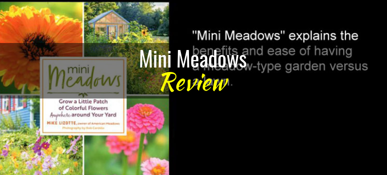 Mini Meadows: Grow a Little Patch of Colorful Flowers Anywhere in Your Yard, by Mike Lizotte – Book Review