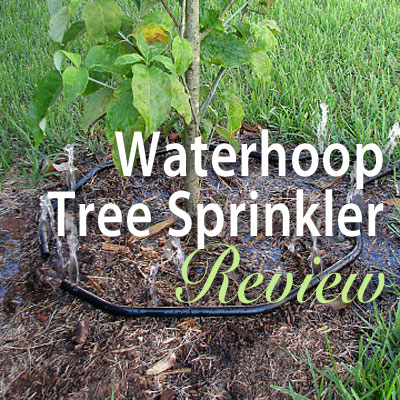 Waterhoop Tree Sprinkler: Product Review