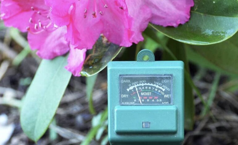 8 Best Soil pH Testers For Home and Garden in 2023