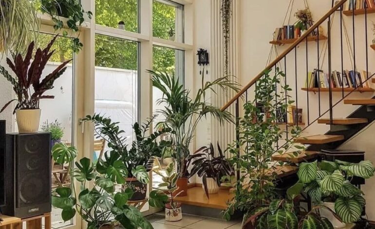 8 Best Fertilizer For Indoor Plants – Reach New Heights in 2023